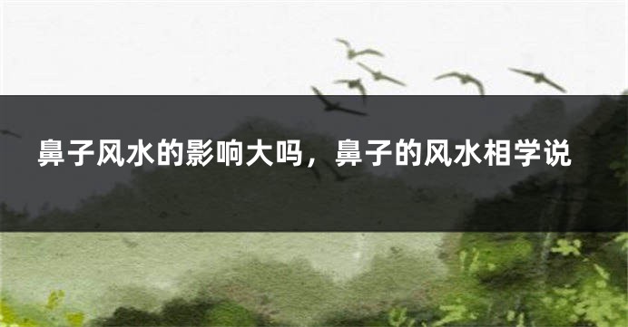 鼻子风水的影响大吗，鼻子的风水相学说