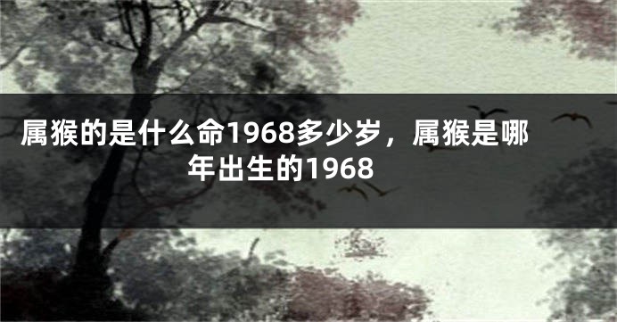 属猴的是什么命1968多少岁，属猴是哪年出生的1968