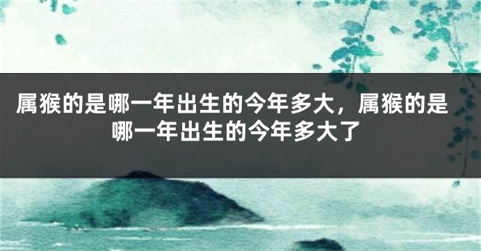 属猴的是哪一年出生的今年多大，属猴的是哪一年出生的今年多大了