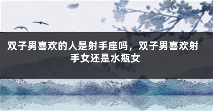 双子男喜欢的人是射手座吗，双子男喜欢射手女还是水瓶女