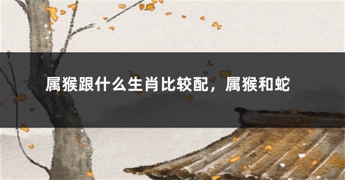 属猴跟什么生肖比较配,属猴和蛇
