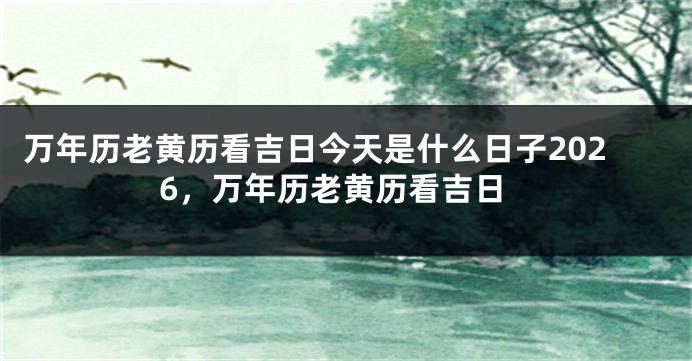 万年历老黄历看吉日今天是什么日子2026，万年历老黄历看吉日