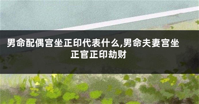 男命配偶宫坐正印代表什么,男命夫妻宫坐正官正印劫财