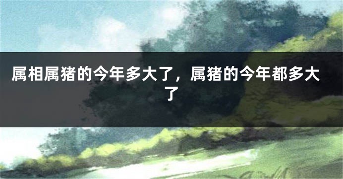 属相属猪的今年多大了，属猪的今年都多大了