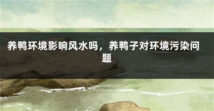 养鸭环境影响风水吗，养鸭子对环境污染问题
