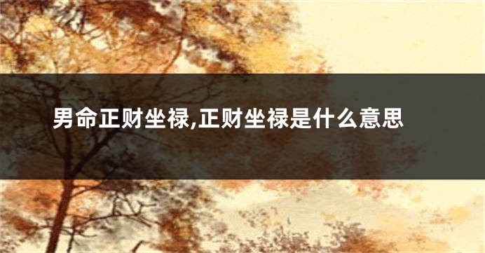 男命正财坐禄,正财坐禄是什么意思