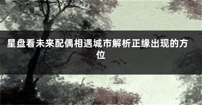 星盘看未来配偶相遇城市解析正缘出现的方位