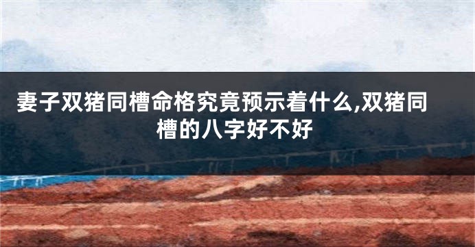妻子双猪同槽命格究竟预示着什么,双猪同槽的八字好不好