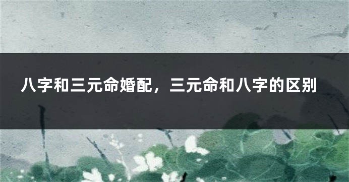 八字和三元命婚配，三元命和八字的区别