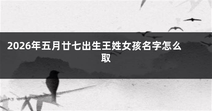 2026年五月廿七出生王姓女孩名字怎么取