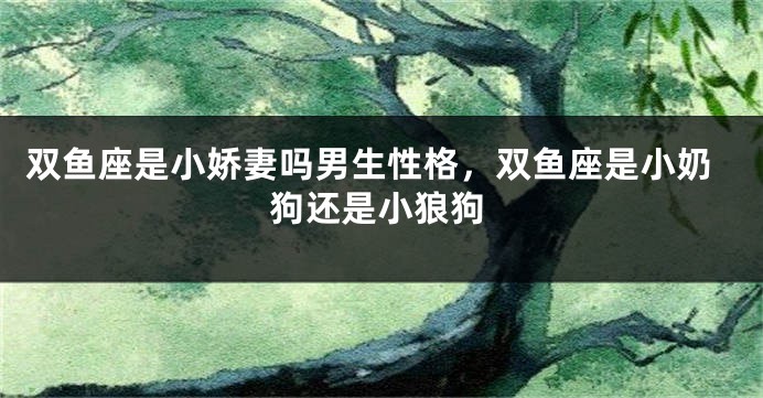 双鱼座是小娇妻吗男生性格，双鱼座是小奶狗还是小狼狗