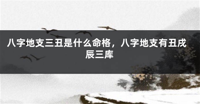 八字地支三丑是什么命格，八字地支有丑戌辰三库