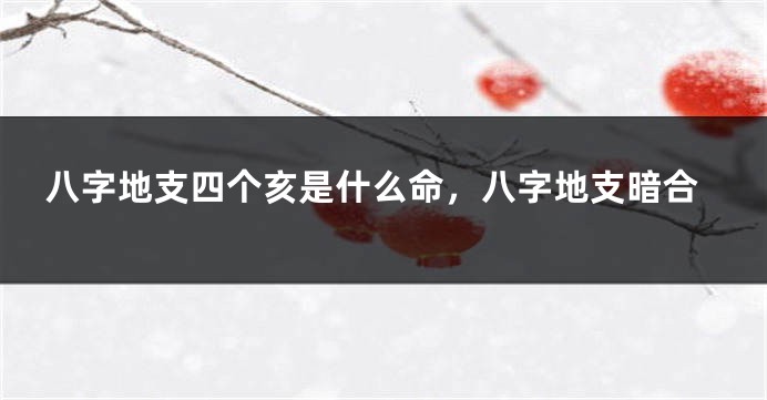 八字地支四个亥是什么命，八字地支暗合
