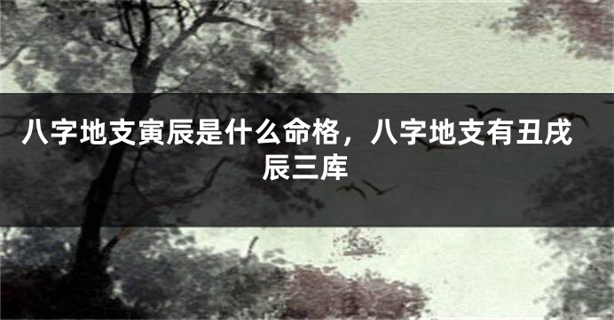 八字地支寅辰是什么命格，八字地支有丑戌辰三库