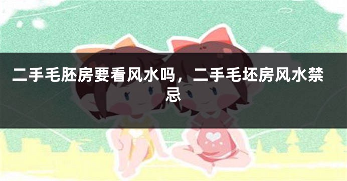 二手毛胚房要看风水吗，二手毛坯房风水禁忌