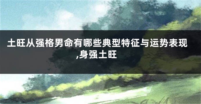 土旺从强格男命有哪些典型特征与运势表现,身强土旺