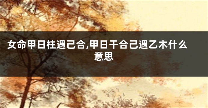 女命甲日柱遇己合,甲日干合己遇乙木什么意思