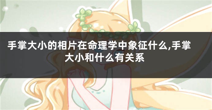 手掌大小的相片在命理学中象征什么,手掌大小和什么有关系