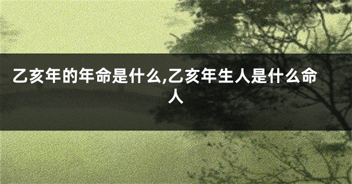 乙亥年的年命是什么,乙亥年生人是什么命人