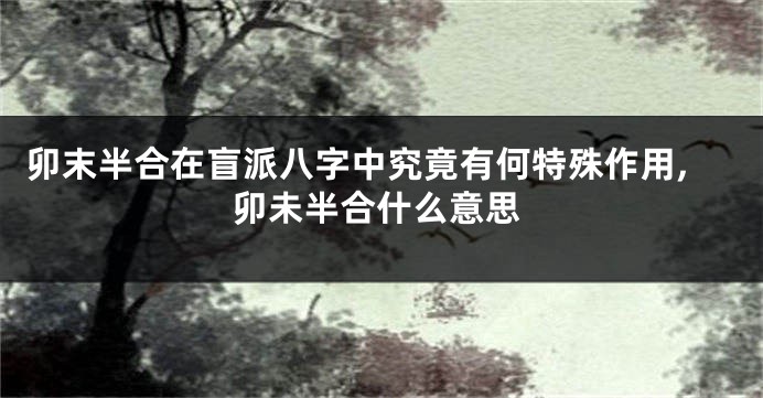卯末半合在盲派八字中究竟有何特殊作用,卯未半合什么意思