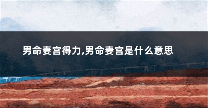 男命妻宫得力,男命妻宫是什么意思