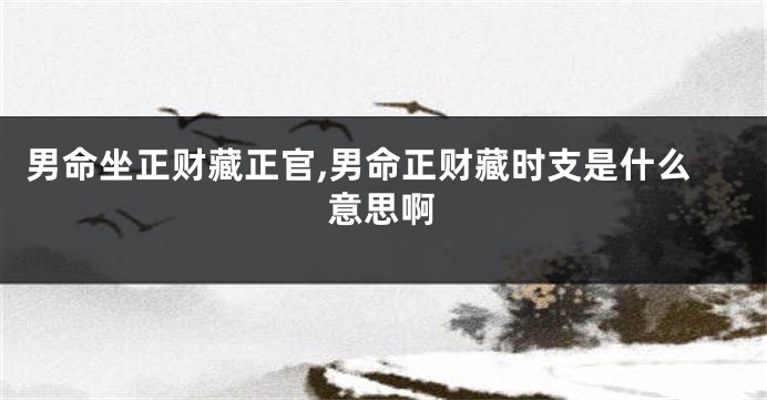 男命坐正财藏正官,男命正财藏时支是什么意思啊