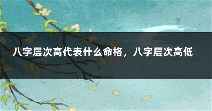 八字层次高代表什么命格，八字层次高低