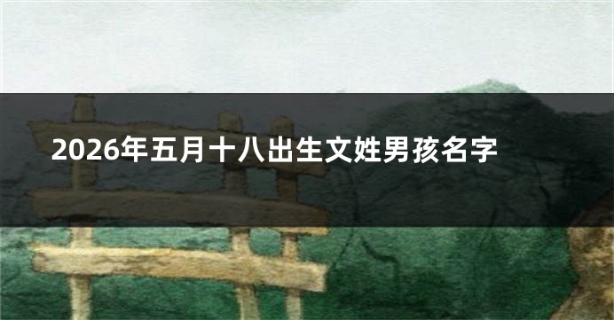 2026年五月十八出生文姓男孩名字