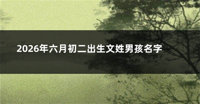 2026年六月初二出生文姓男孩名字