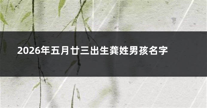 2026年五月廿三出生龚姓男孩名字