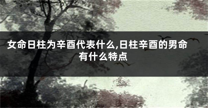 女命日柱为辛酉代表什么,日柱辛酉的男命有什么特点