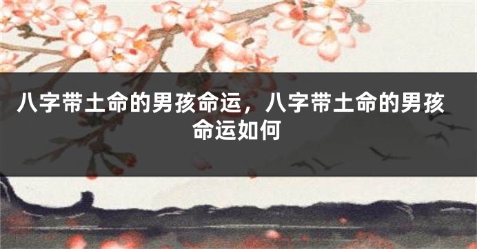 八字带土命的男孩命运，八字带土命的男孩命运如何