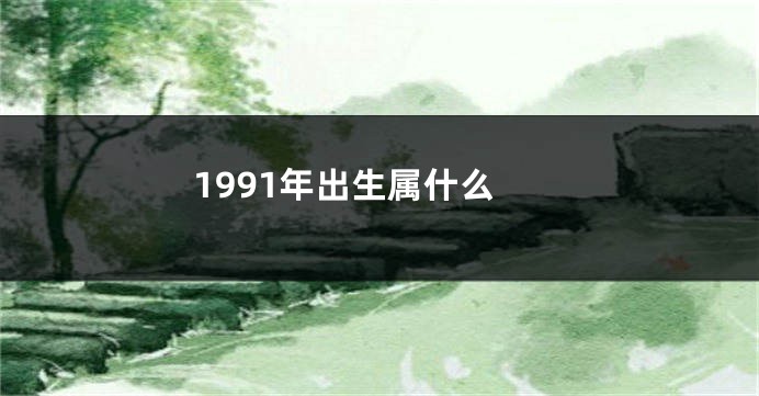 1991年出生属什么