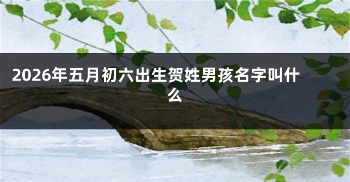 2026年五月初六出生贺姓男孩名字叫什么
