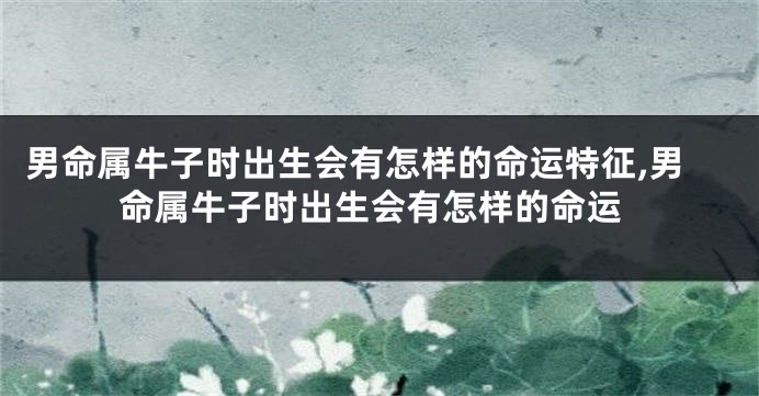 男命属牛子时出生会有怎样的命运特征,男命属牛子时出生会有怎样的命运