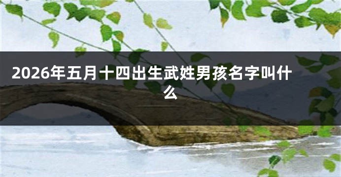 2026年五月十四出生武姓男孩名字叫什么