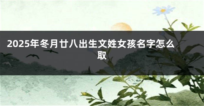 2025年冬月廿八出生文姓女孩名字怎么取