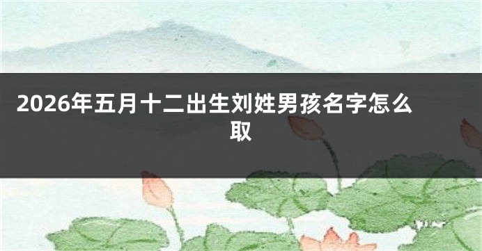 2026年五月十二出生刘姓男孩名字怎么取