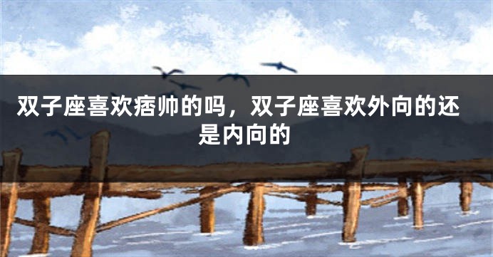 双子座喜欢痞帅的吗，双子座喜欢外向的还是内向的