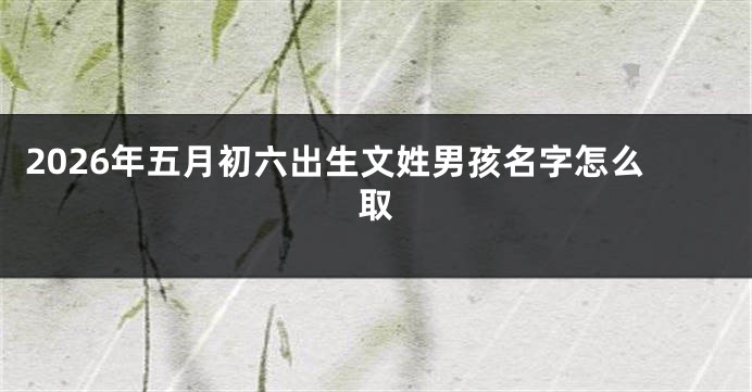 2026年五月初六出生文姓男孩名字怎么取