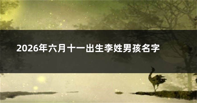 2026年六月十一出生李姓男孩名字