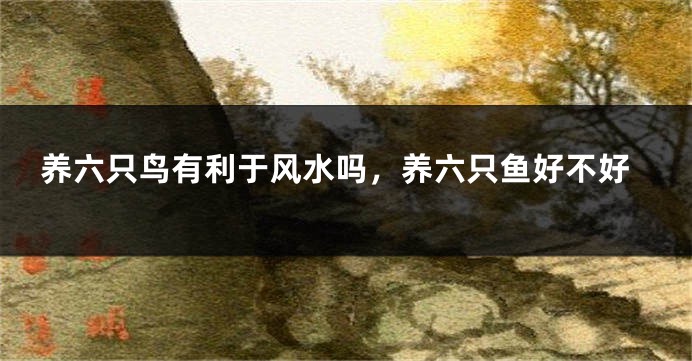 养六只鸟有利于风水吗，养六只鱼好不好