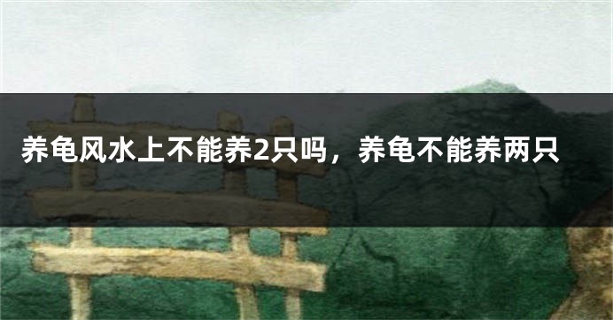 养龟风水上不能养2只吗,养龟不能养两只