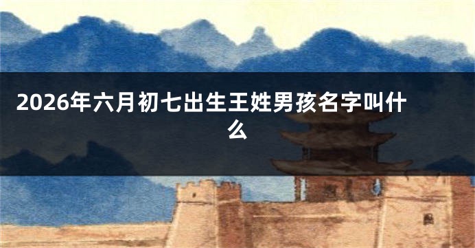 2026年六月初七出生王姓男孩名字叫什么