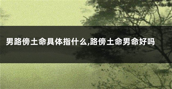 男路傍土命具体指什么,路傍土命男命好吗