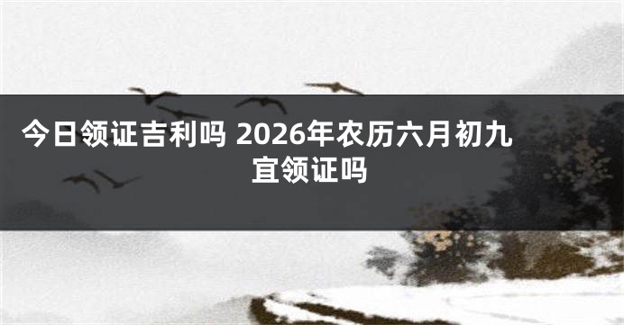 今日领证吉利吗 2026年农历六月初九宜领证吗