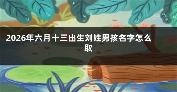 2026年六月十三出生刘姓男孩名字怎么取