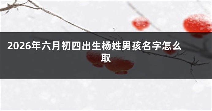 2026年六月初四出生杨姓男孩名字怎么取