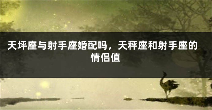 天坪座与射手座婚配吗,天秤座和射手座的情侣值