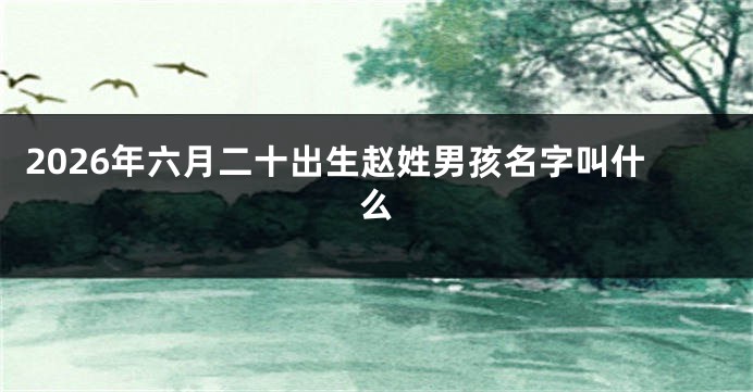 2026年六月二十出生赵姓男孩名字叫什么